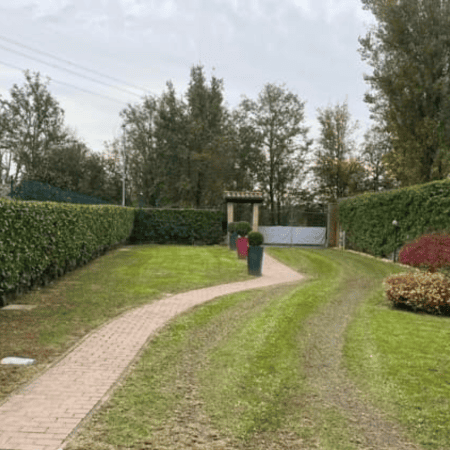 the garden before the lighting project